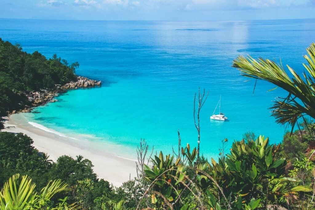 cheap flights and hotels