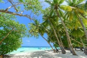 Beautiful Tropical Beach and Turquoise Water, Maldives