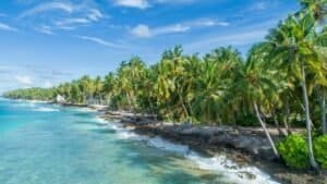 Green Palm Trees on Beach Side and Waves, Maldives