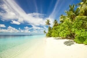 Green Trees and Beautiful Beach Under Blue Sky, Maldives