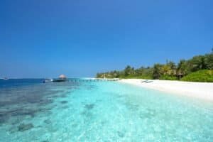 Green Trees on the Beach Under the Blue Sky, Maldives