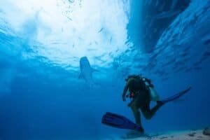 Scuba Diving, Fuvahmulah, Maldives