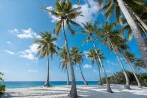 Tranquil Tropical Beach in Fuvahmulah, Maldives