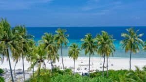 White Sand Beach with Coconut Trees, Maldives