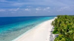 White Sandy Beach, Blue Sea and Coconut Trees, Maldives