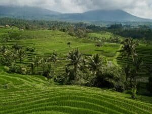 A breathtaking aerial shot showcasing vibrant green rice terraces, Bali
