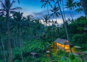 A serene tropical hut illuminated at twilight in a lush Balinese forest setting, surrounded by tall palm trees, Bali