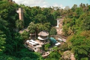 A serene tropical resort nestled in a lush forest in Ubud, Bali
