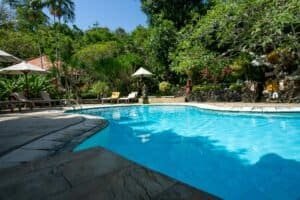 Relaxing poolside escape surrounded by lush greenery in Bali, Indonesia